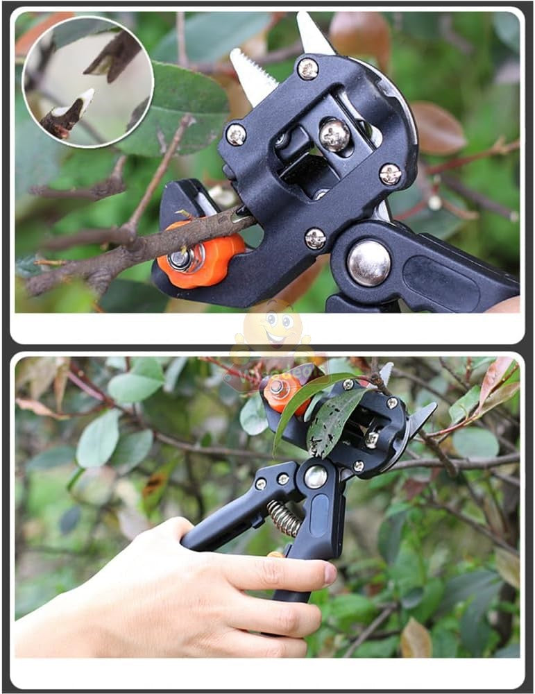 Professional Grafting Tool with Replaceable Blades