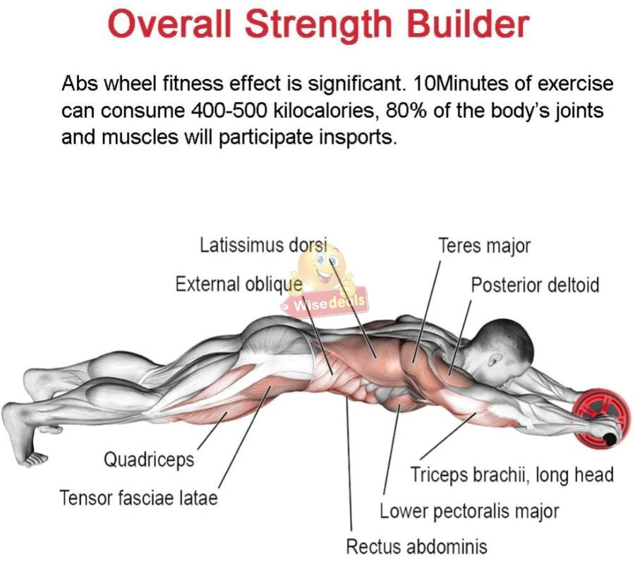 Full Body Workout AB Wheel Exerciser