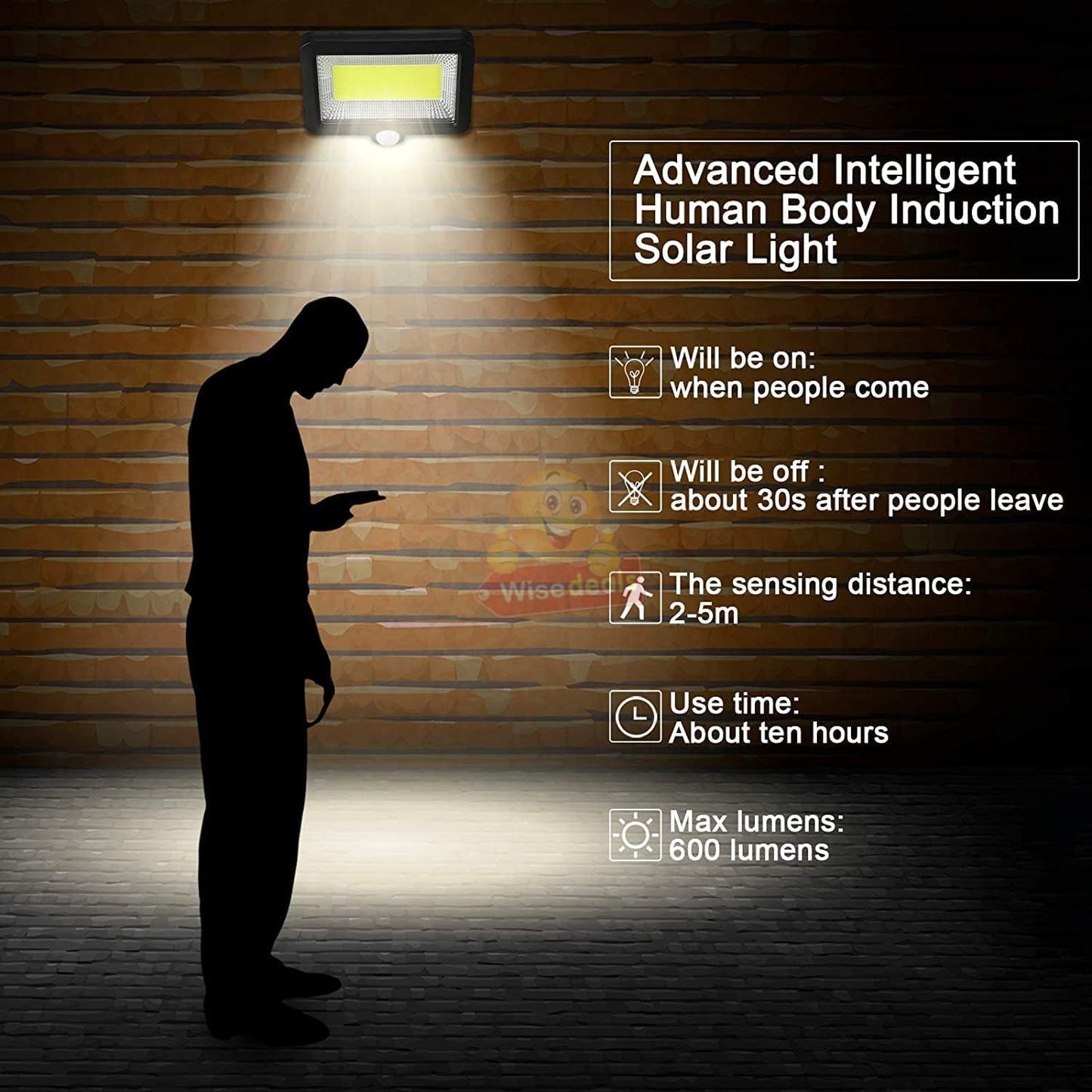 Solar Powered Sensor COB Flood Light