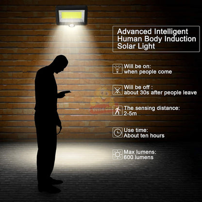Solar Powered Sensor COB Flood Light