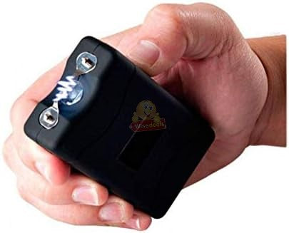 Stun Gun with Flashlight in Bag